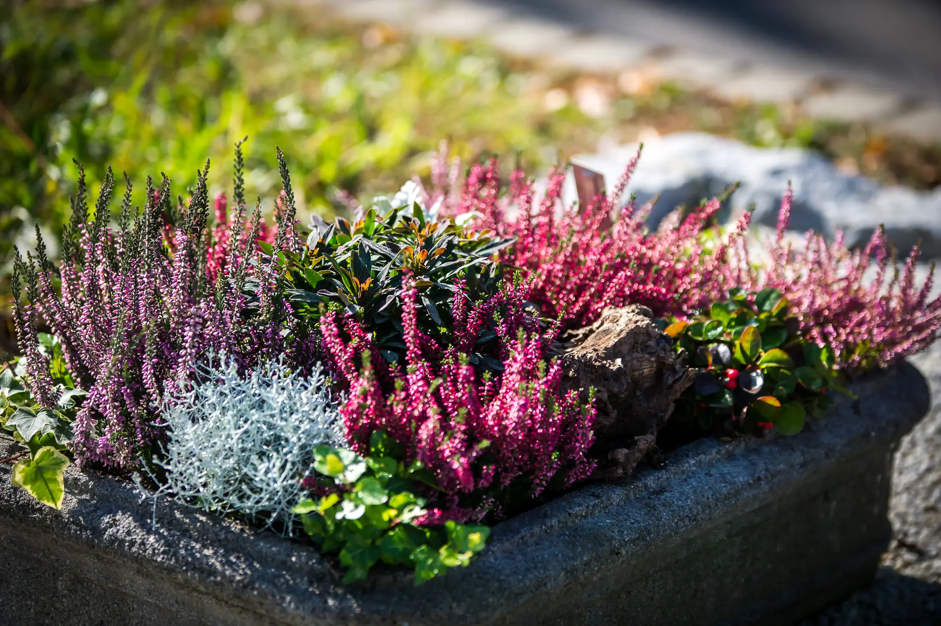 Blumen Engele-179
